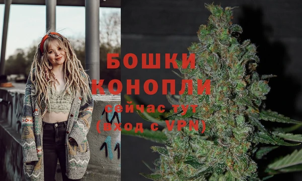 PSILOCYBIN Инта