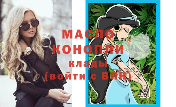 гидра Инсар