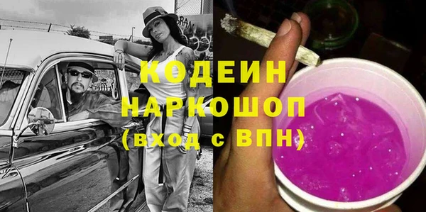 гидра Инсар