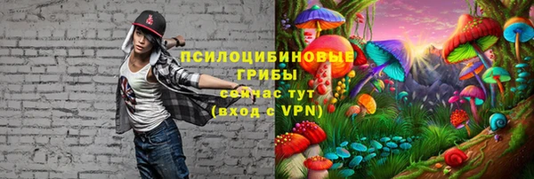 ALPHA PVP Фёдоровский