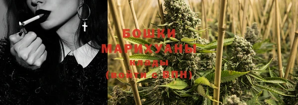 PSILOCYBIN Инта