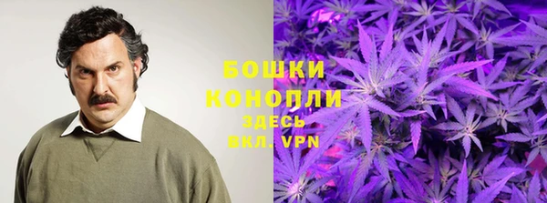 гидра Инсар