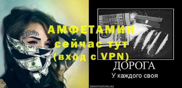 гидра Инсар