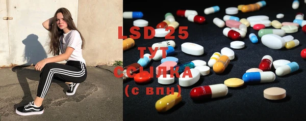 PSILOCYBIN Инта