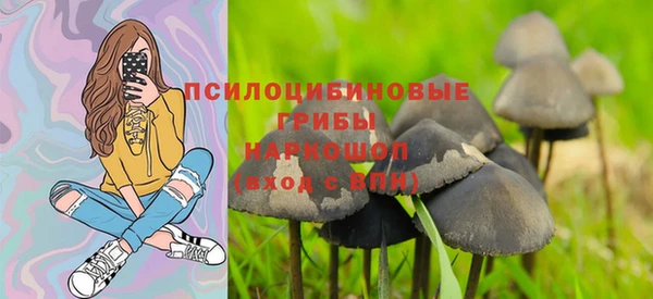 эйфоретик Карпинск