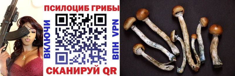 Галлюциногенные грибы ЛСД Крымск
