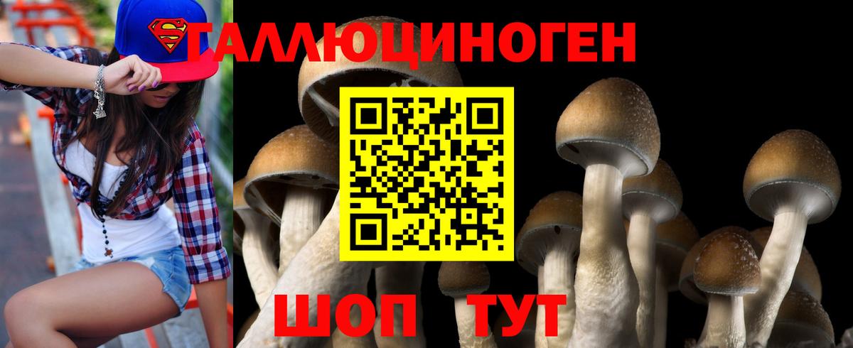 где купить наркотик  Галлюциногенные грибы Magic Shrooms  Псилоцибиновые грибы Cubensis  Вход с VPN  Крымск 